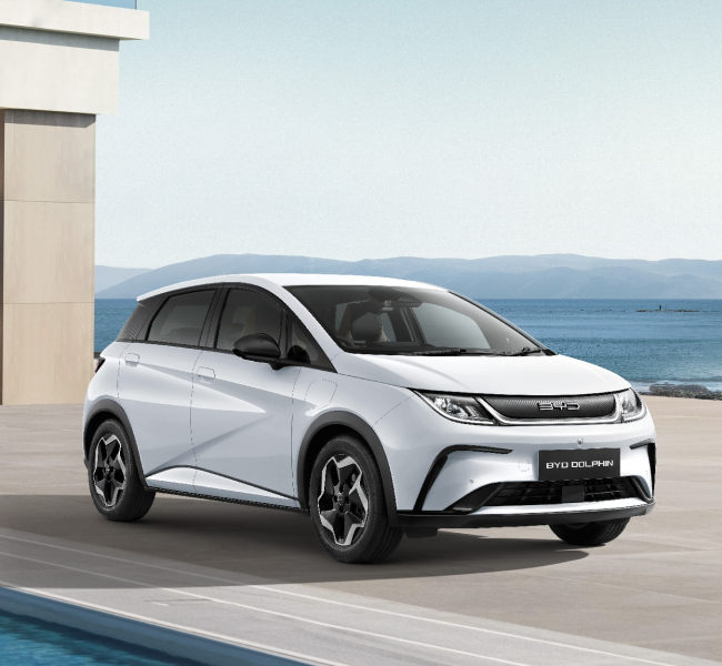 BYD DOLPHIN 