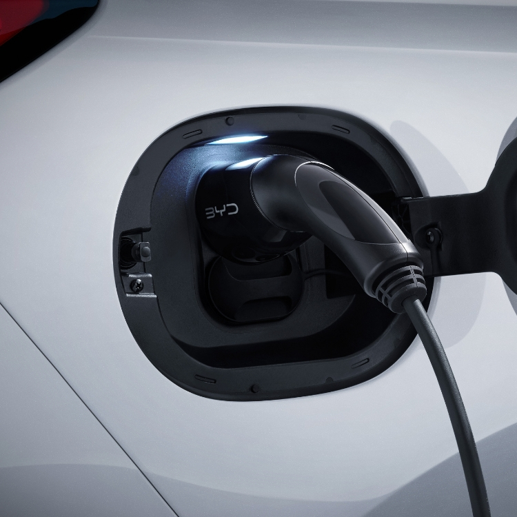 內容背景 內容背景